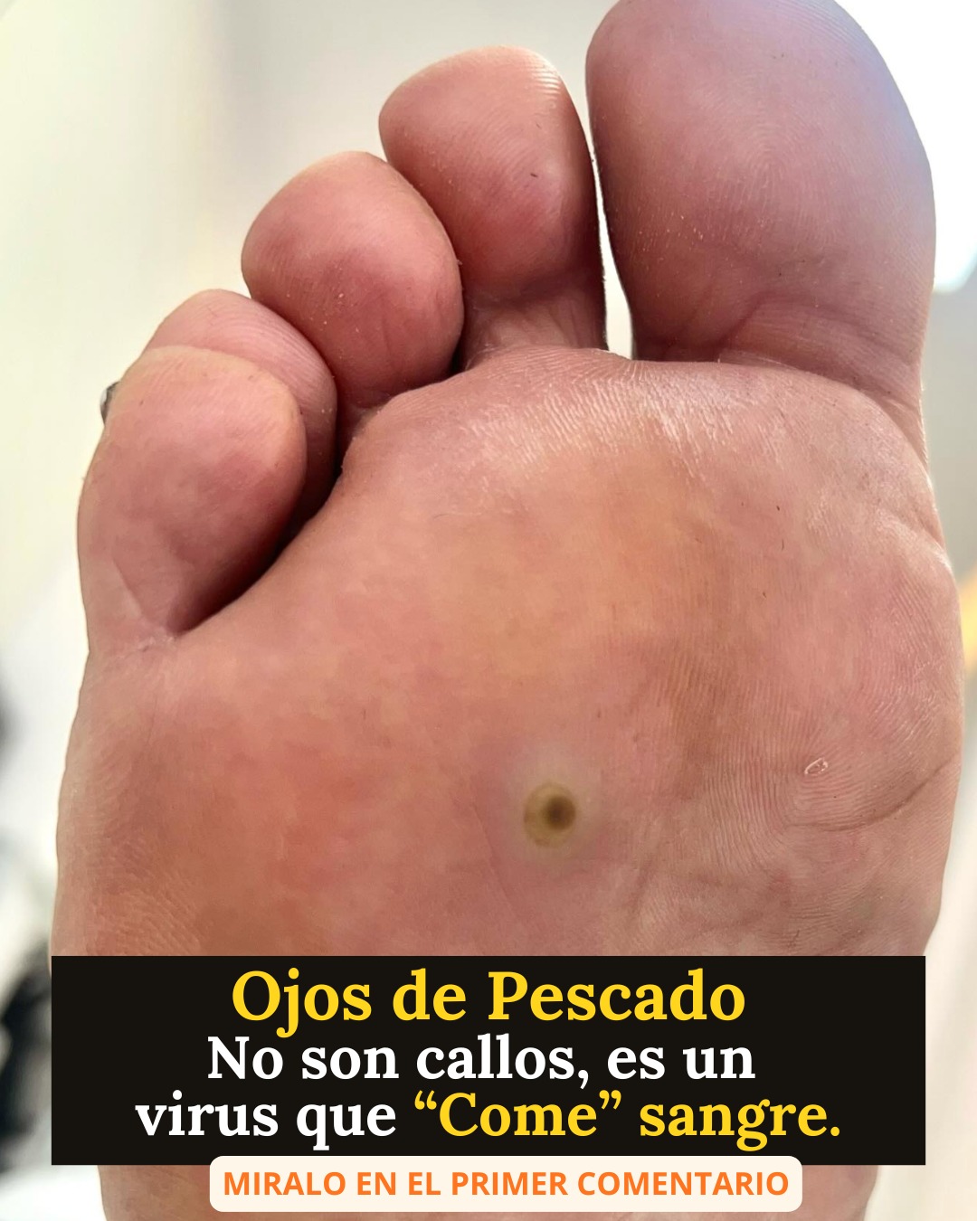 650968577 1487136196315251 2527462974650672972 n