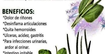 652706541 1492885558865371 8923276235750465778 n