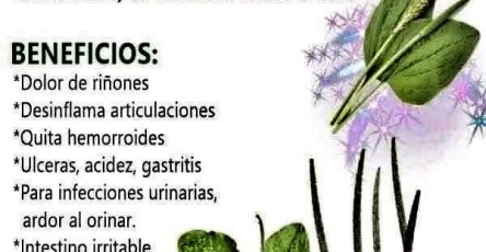 652706541 1492885558865371 8923276235750465778 n