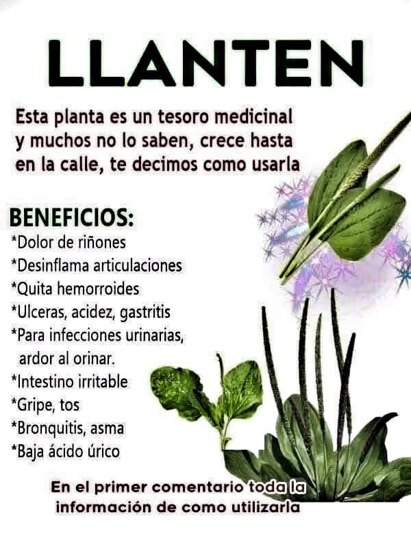 652706541 1492885558865371 8923276235750465778 n