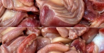 653705350 1491296325690961 2984005099968862110 n