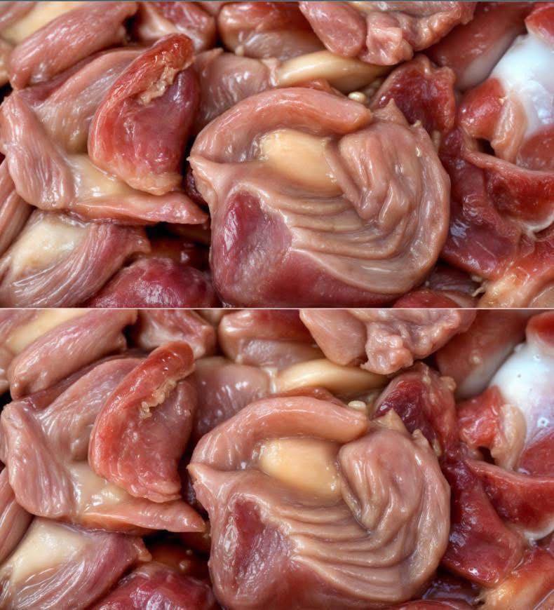 653705350 1491296325690961 2984005099968862110 n