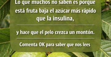 653714499 122157649544973955 6193969627369165249 n