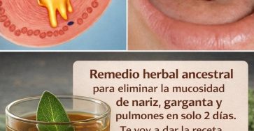 653883974 1504085171278187 2109156584609805716 n