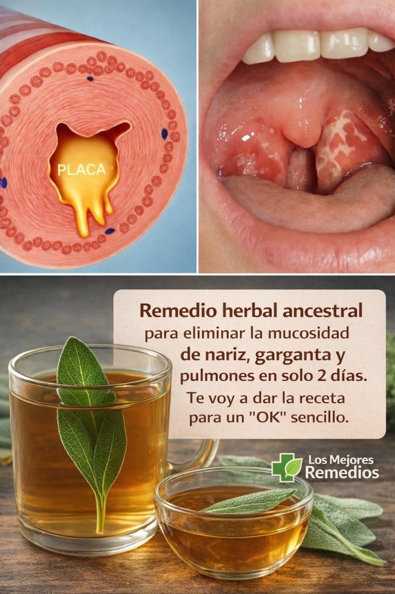 653883974 1504085171278187 2109156584609805716 n