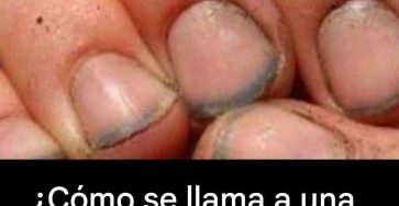 654425368 122120972385101490 6841391306343350035 n