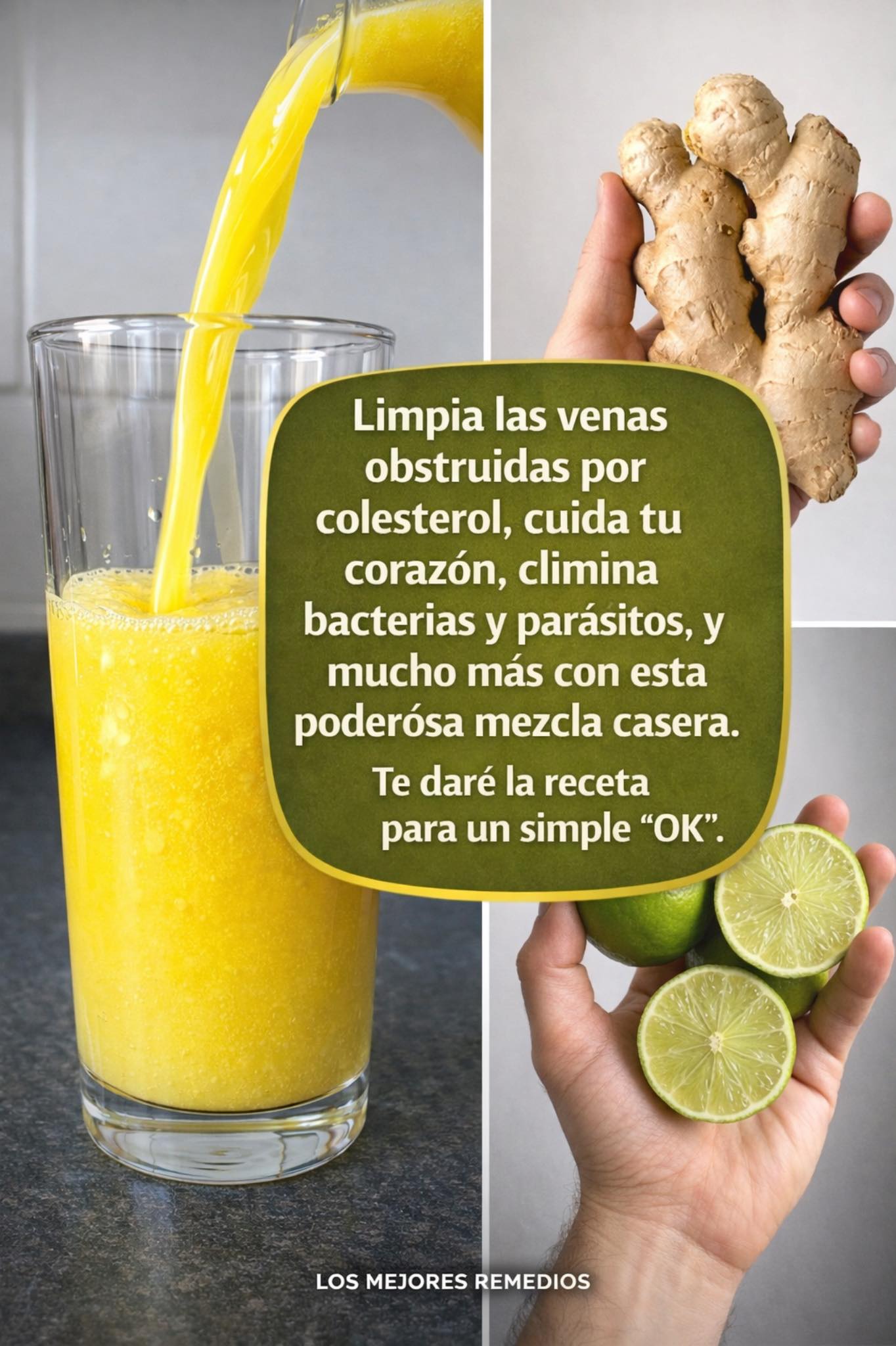 654465934 1503362244683813 4957375239150074074 n