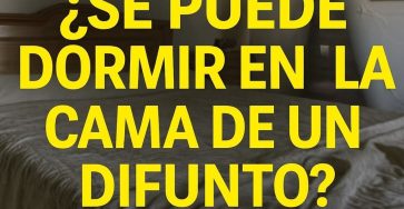 654800957 1481982276636312 9152629901406677472 n