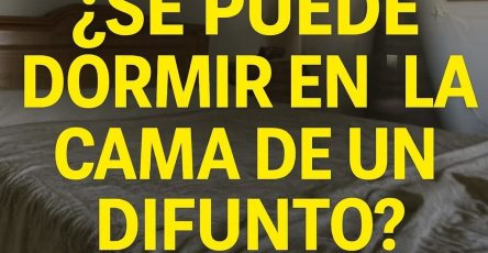 654800957 1481982276636312 9152629901406677472 n