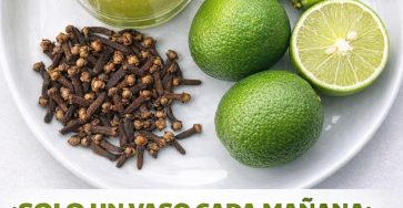 655156166 1503478574672180 9172480810273364295 n