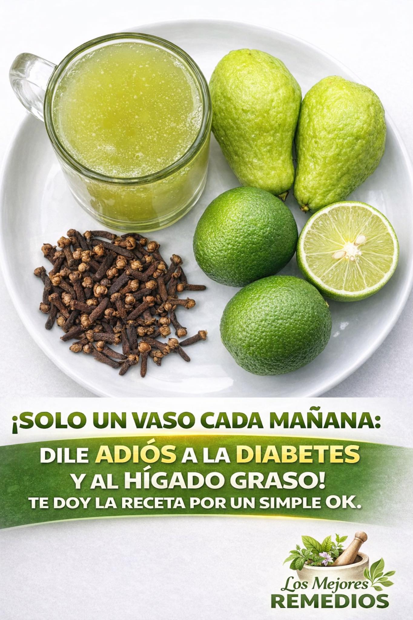 655156166 1503478574672180 9172480810273364295 n