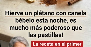 655537268 122157707108973955 4112967649387981659 n