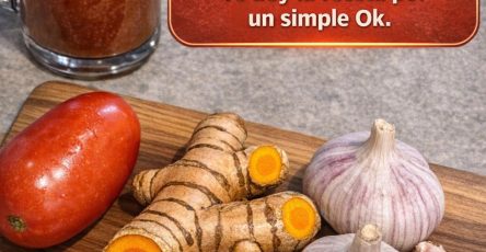 656090517 1506192421067462 8687793857645184616 n