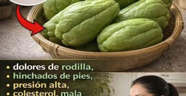 656182847 1494210222499985 4753395743419212007 n