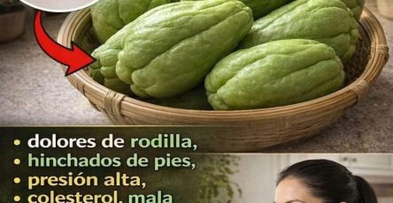 656182847 1494210222499985 4753395743419212007 n