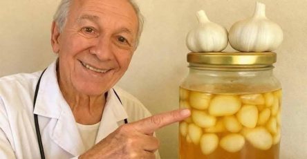 656516002 1493538755900465 3523383391114694226 n