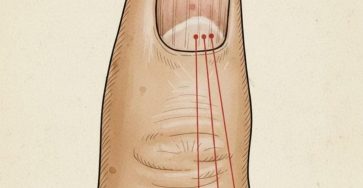 656747609 122171418296877700 1896808350199694210 n