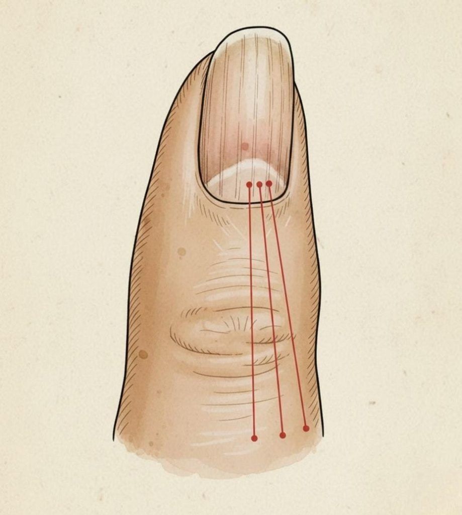 656747609 122171418296877700 1896808350199694210 n