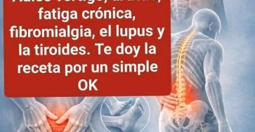 656827642 122104915521168271 3445765398527761280 n