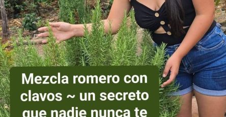 657301384 1490659896188351 2780300208711746913 n