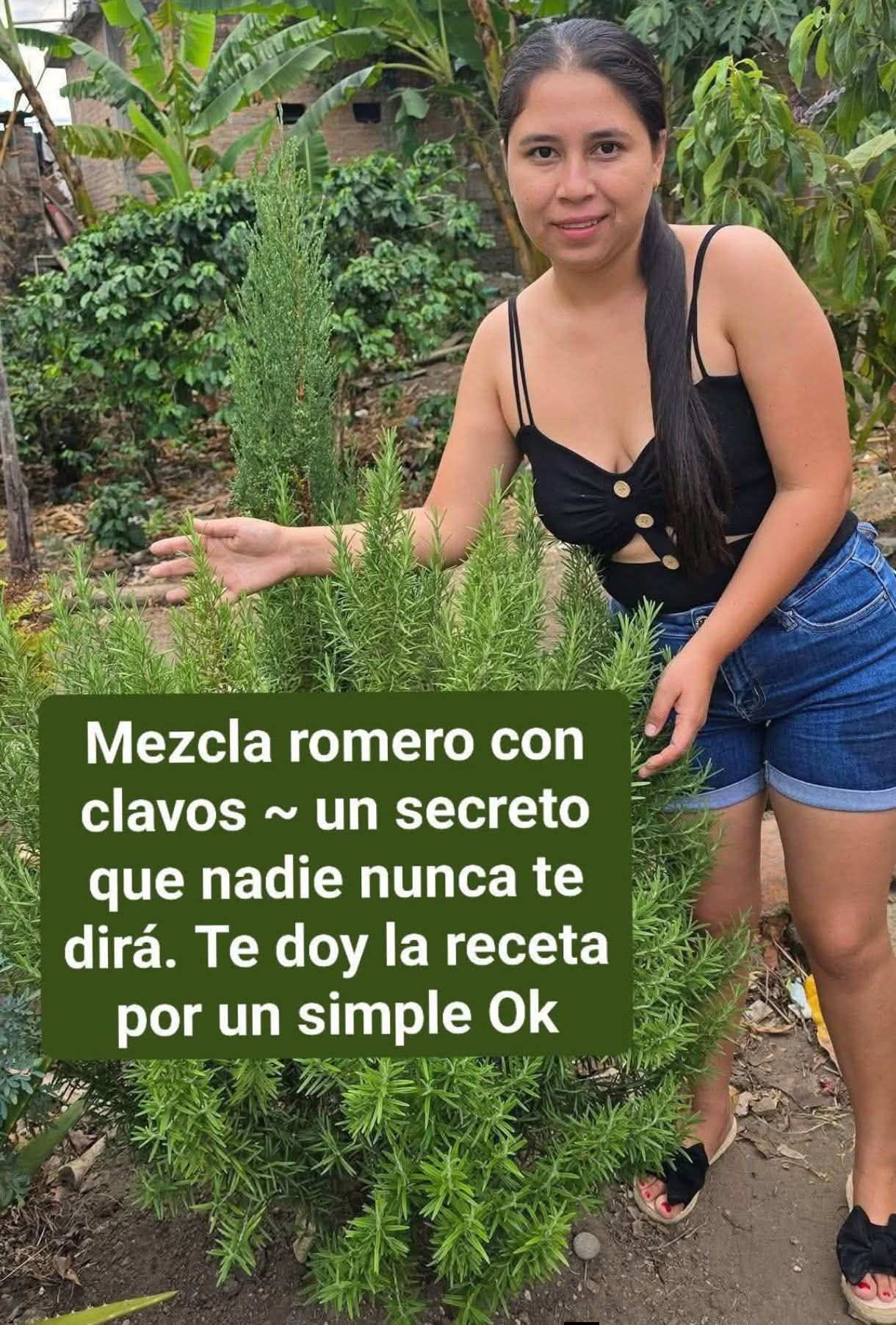 657301384 1490659896188351 2780300208711746913 n