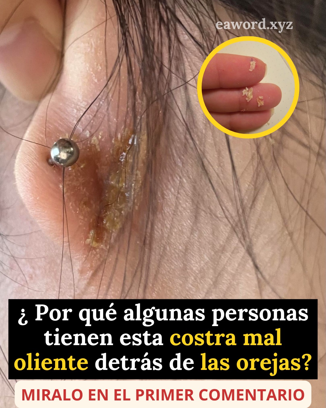 657318998 1499688578393346 8659084031276937264 n