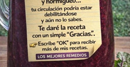 657351885 1505928941093810 7007543089361543002 n