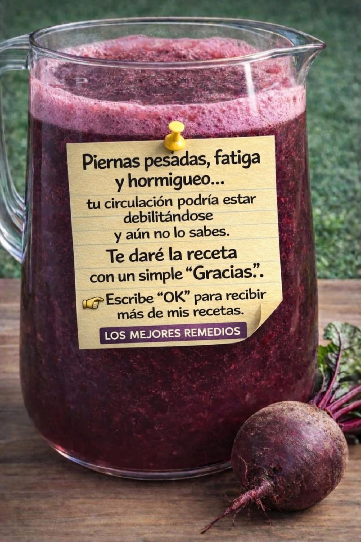 657351885 1505928941093810 7007543089361543002 n