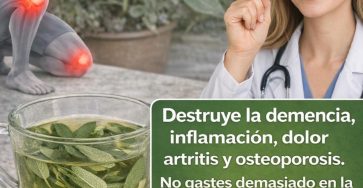 657403294 1512701153749922 1667010049257434678 n