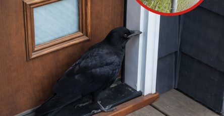 657581418 1497402391955298 2548220199732222224 n