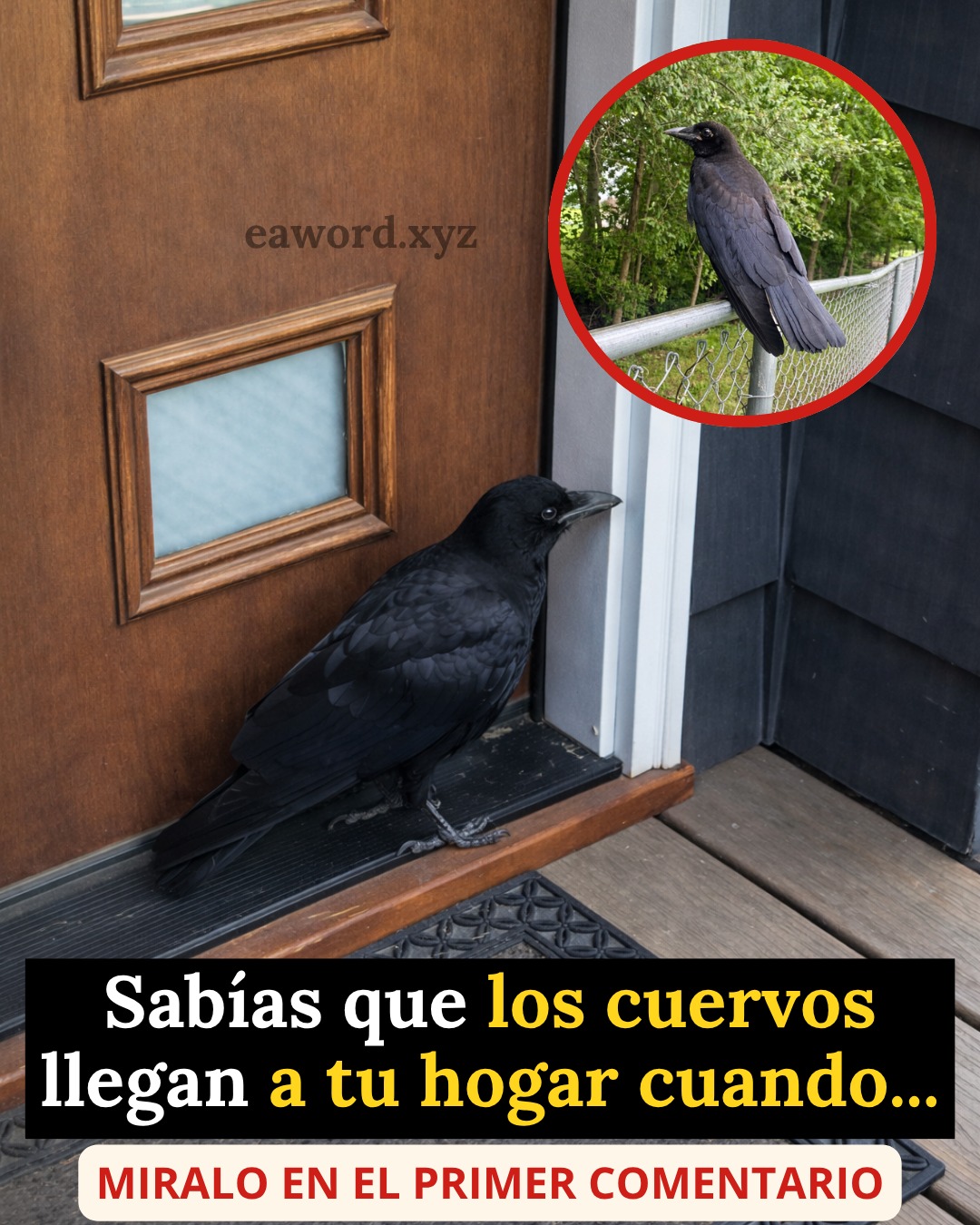 657581418 1497402391955298 2548220199732222224 n