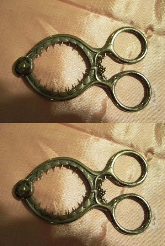 657755400 122247239672104640 171937647726061333 n