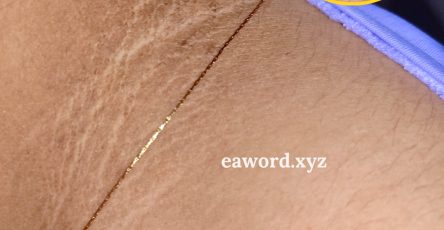 657778271 1503556444673226 1133448494483888264 n