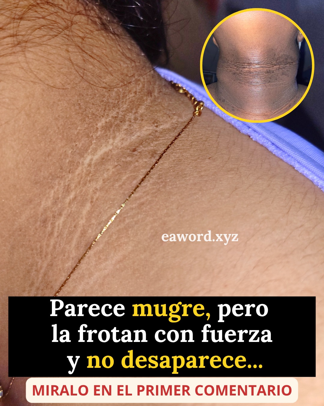 657778271 1503556444673226 1133448494483888264 n