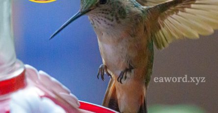 657971561 1498651195163751 4259082114002347927 n