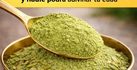 659065776 1513134553706582 3806368686958631438 n