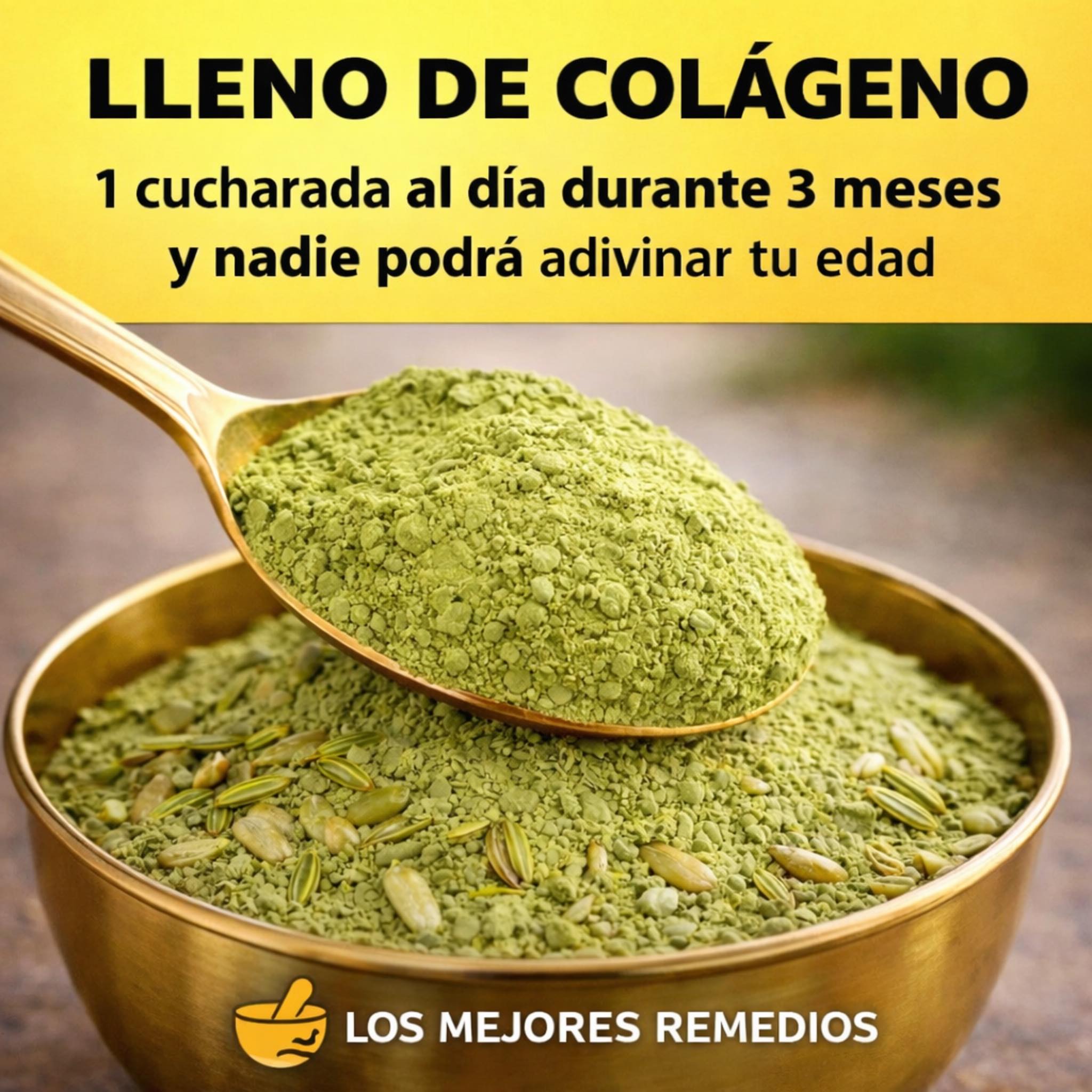 659065776 1513134553706582 3806368686958631438 n