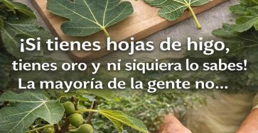 659111368 1494314455822895 7855336001248722786 n