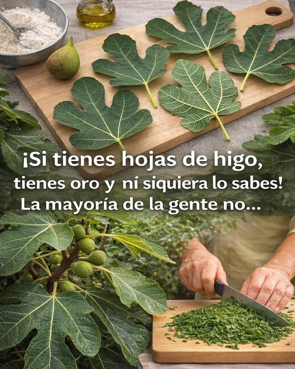 659111368 1494314455822895 7855336001248722786 n