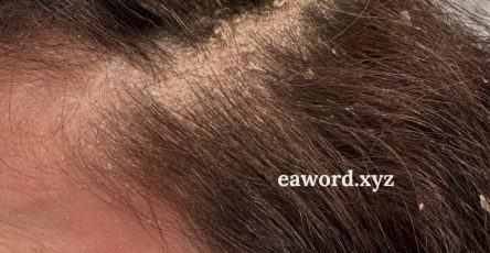 659853975 1503556744673196 1254856992541965420 n