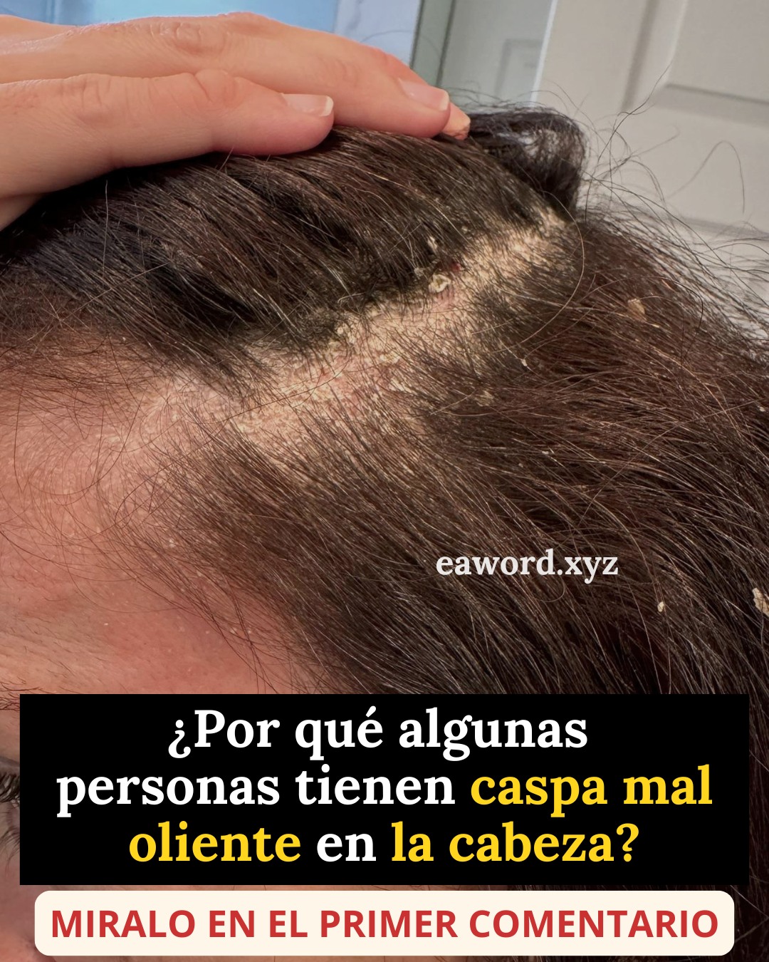 659853975 1503556744673196 1254856992541965420 n