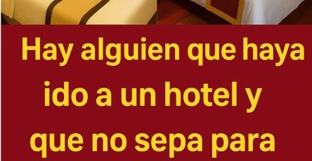 661166656 122190167030448150 6138385732603249925 n