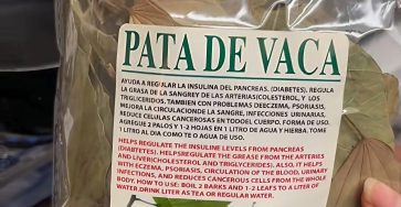 661282963 1496957865558554 5622792449429935969 n