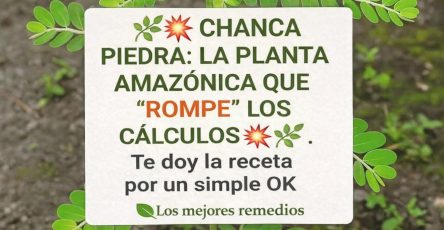 662082170 1511367063883331 8814019218755172374 n