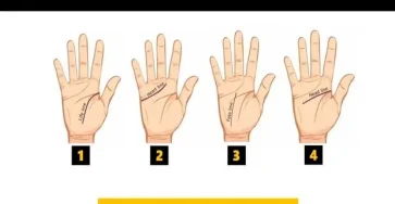 736686630 230427302 1706x1136