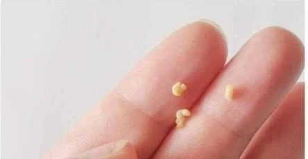 WhatsApp Image 2026 03 04 at 02.17.23