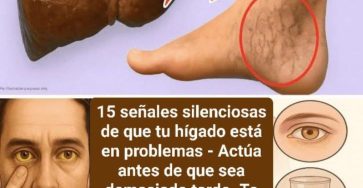 WhatsApp Image 2026 03 22 at 04.42.38