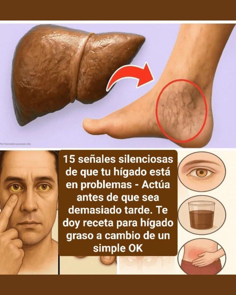 WhatsApp Image 2026 03 22 at 04.42.38