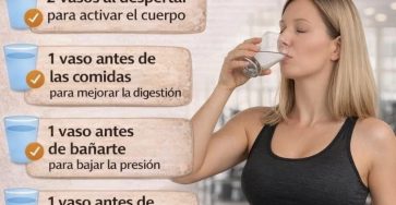 WhatsApp Image 2026 03 22 at 06.03.21