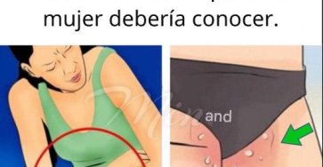 Image703436d8 70a0 4046 bd73 8319fc7934b8